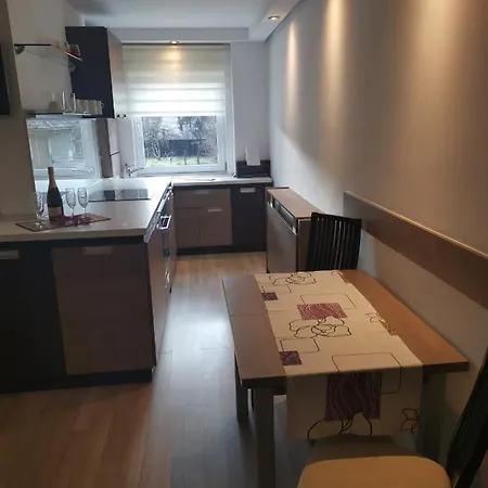 M&f Apartament Porumbescu